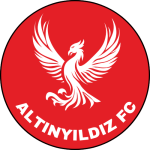 ALTINYILDIZ FC